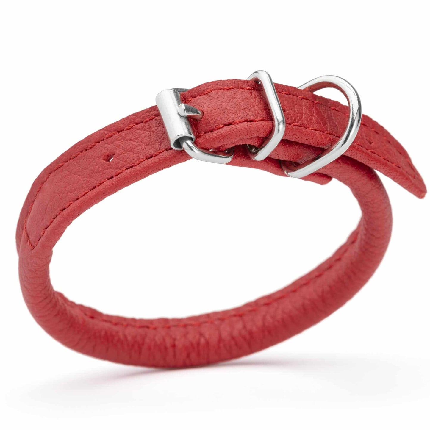 Dog wearing a white soft leather round collar sitting in the park with owner