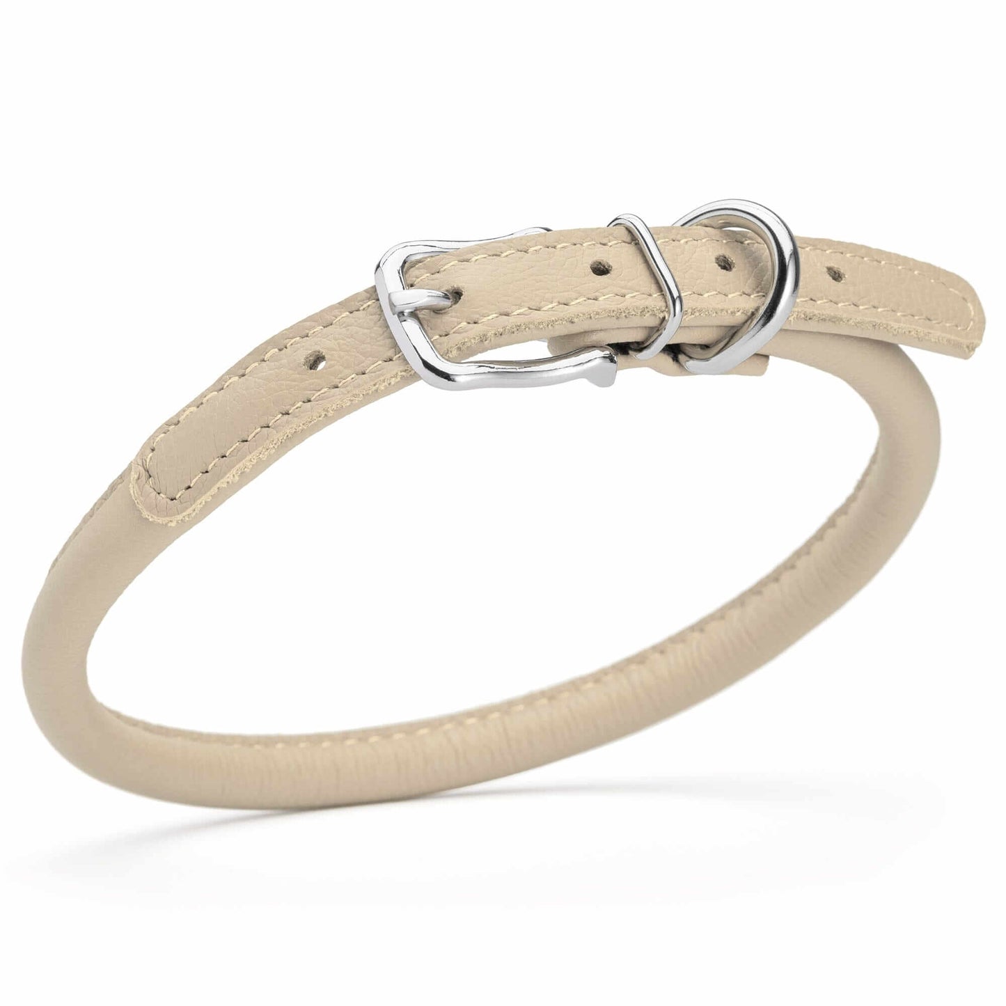 Dog wearing a white soft leather round collar sitting in the park with owner
