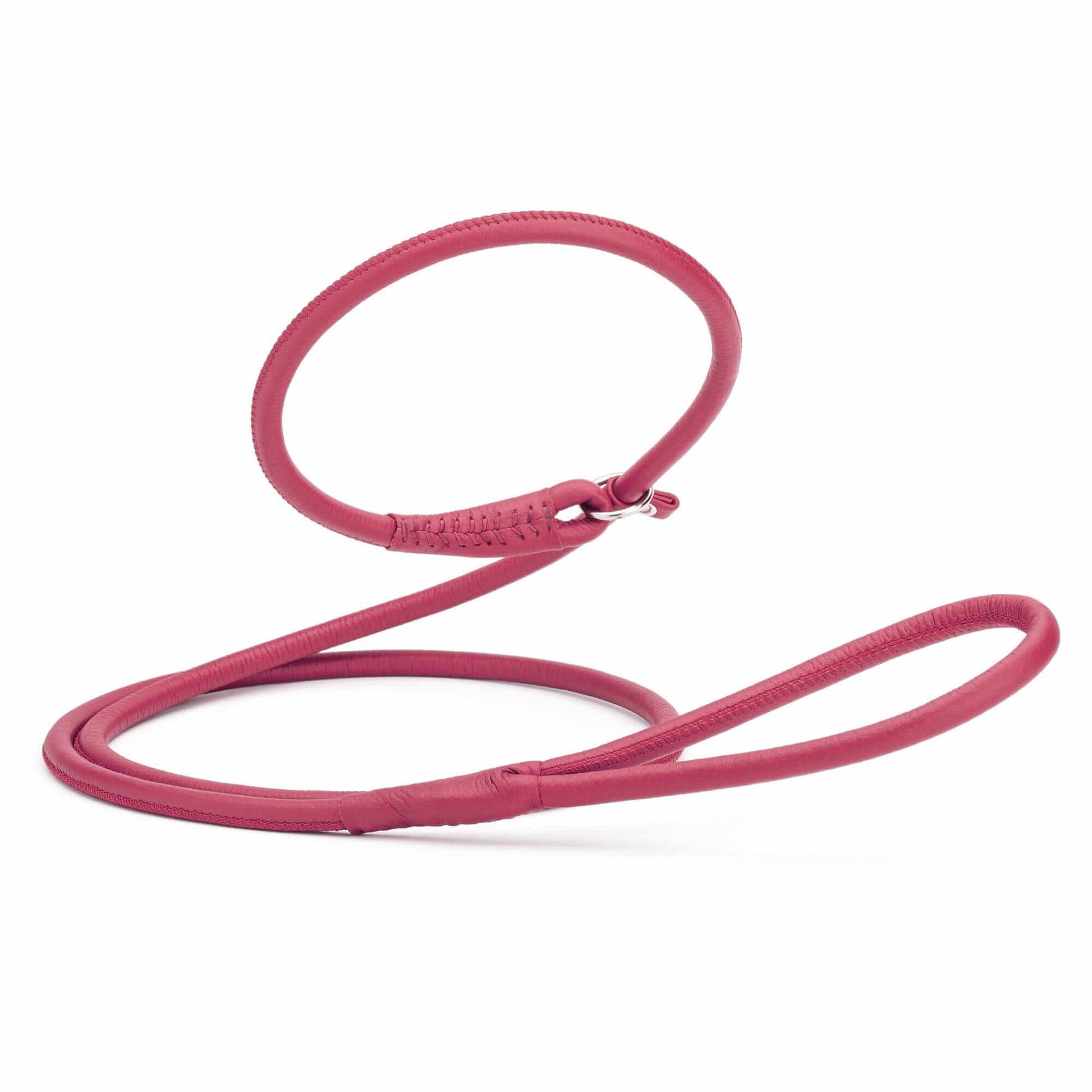 Soft leather round slip lead for dogs, all-in-one leash and collar for easy handling and quick control during walks or training