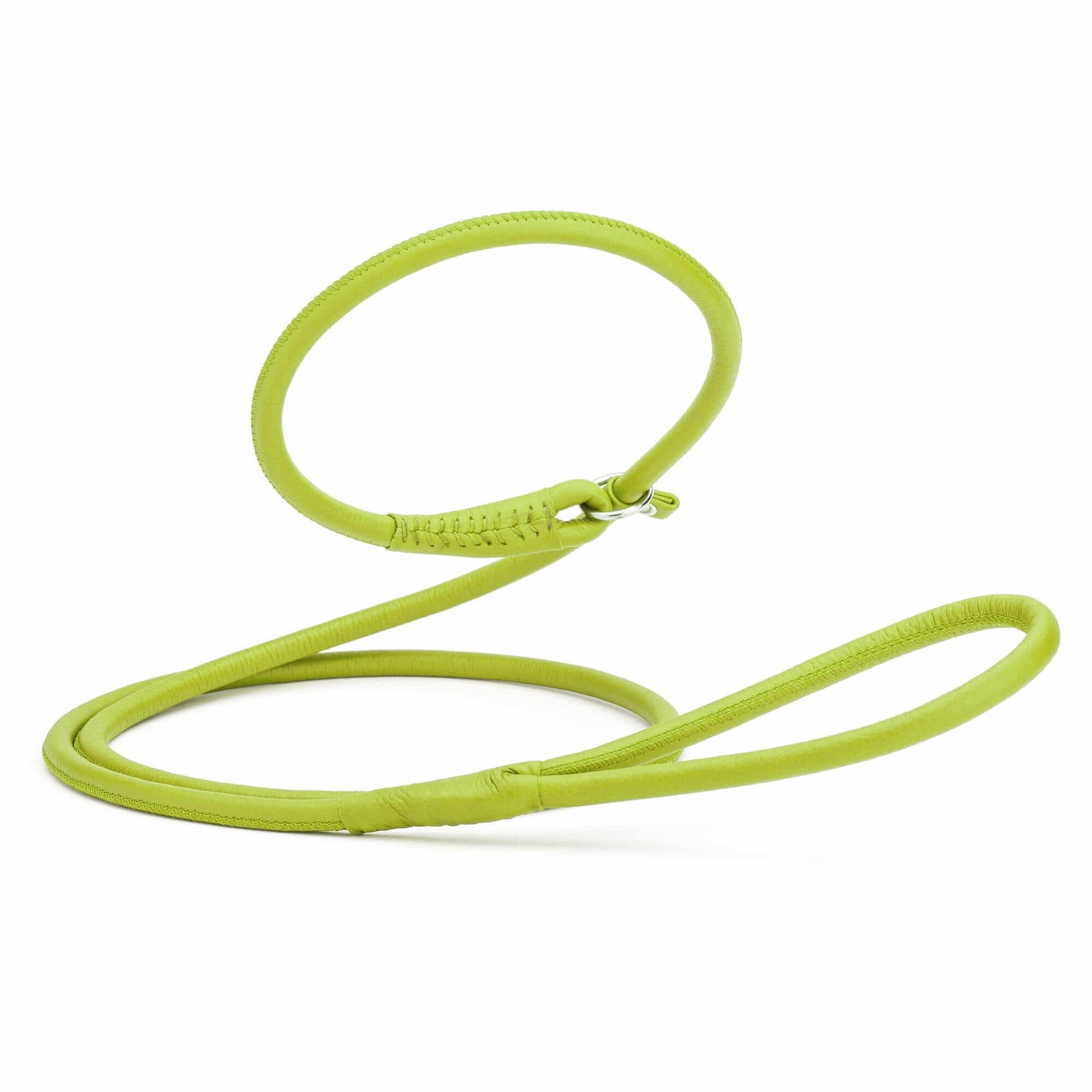 Soft leather round slip lead for dogs, all-in-one leash and collar for easy handling and quick control during walks or training
