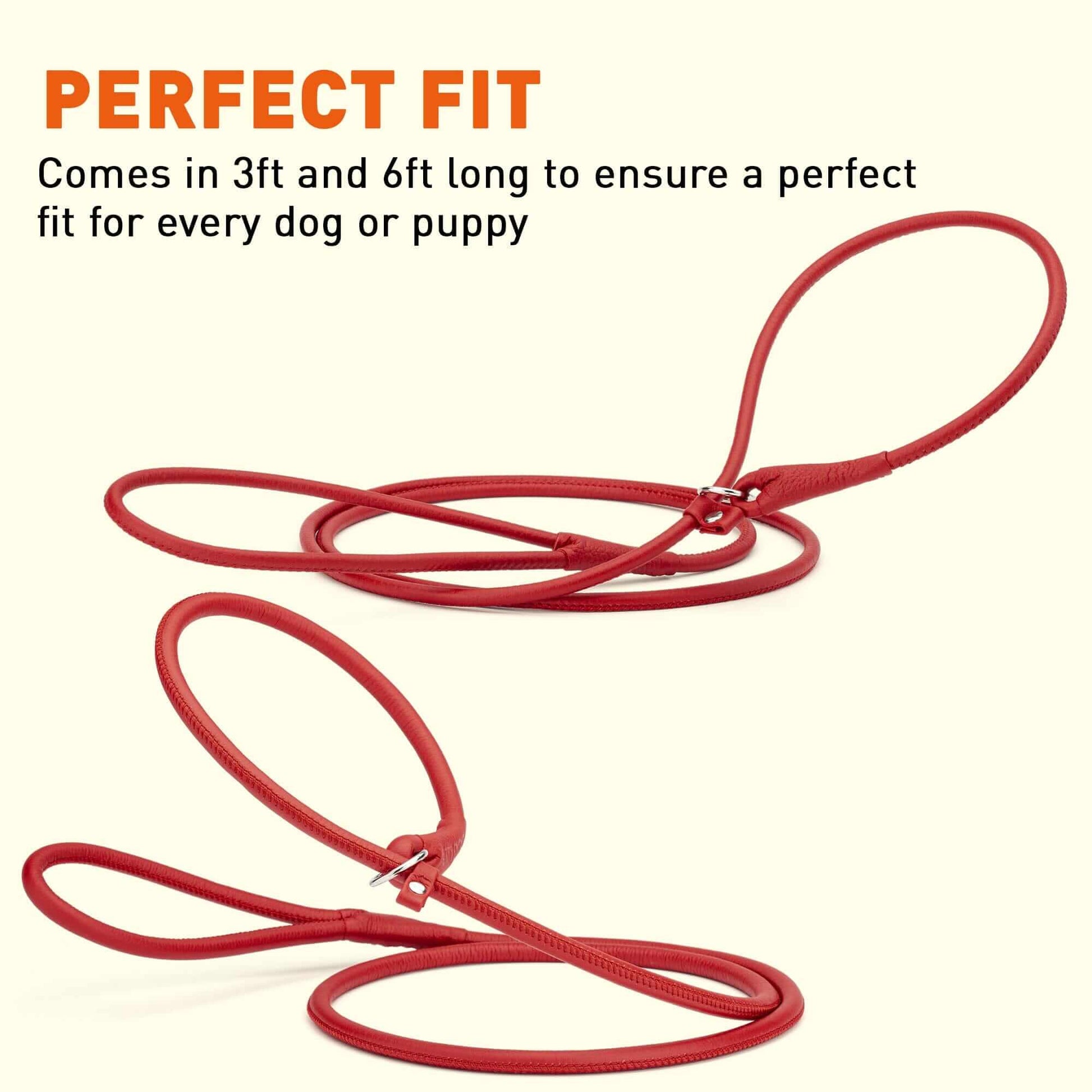 Soft leather round slip lead for dogs, all-in-one leash and collar for easy handling and quick control during walks or training