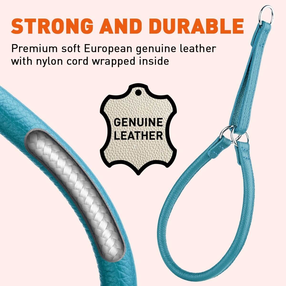 Soft leather round martingale collar for dogs, no-pull training collar with adjustable fit and gentle control