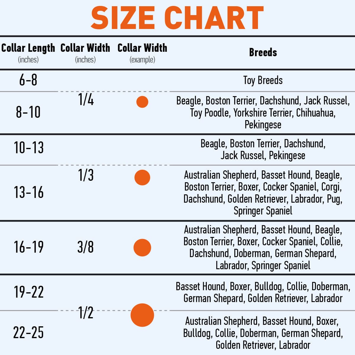 Dog wearing a white soft leather round collar sitting in the park with owner