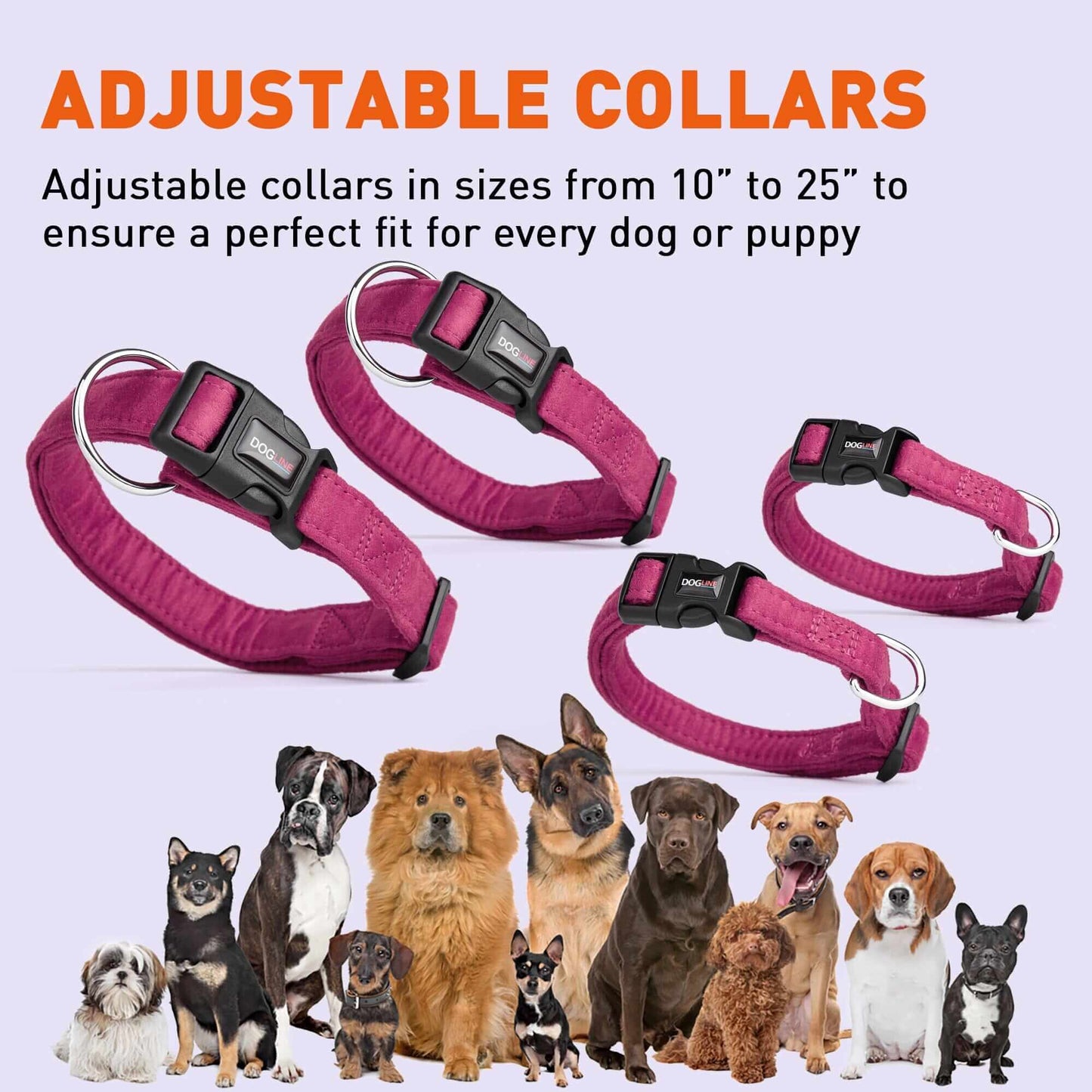 Comfort microfiber flat dog collar with soft padded lining and adjustable buckle for everyday wear
