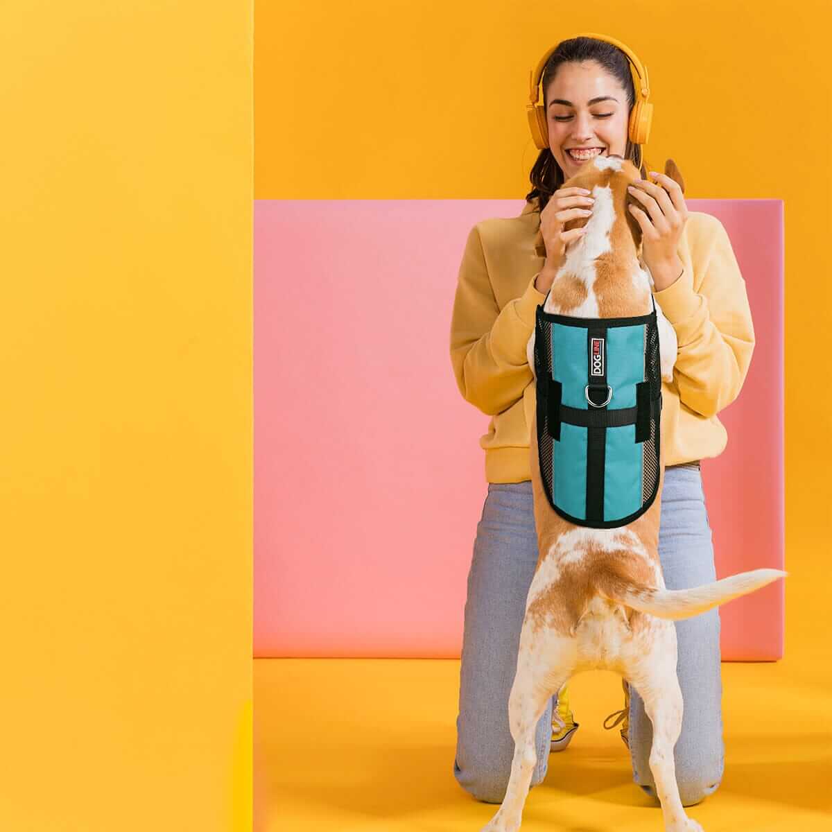 A lady holding her dog in Cooling mesh air vest for dogs to stay cool during outdoor activities
