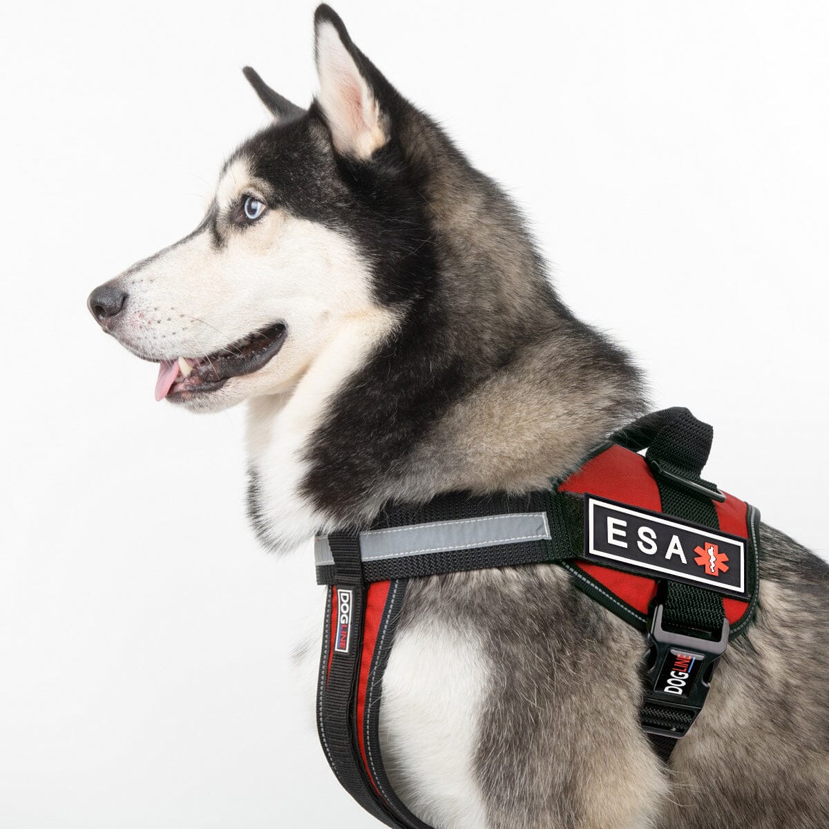 Dogline ESA dog 3D rubber patches – durable identification patches for emotional support animal gear