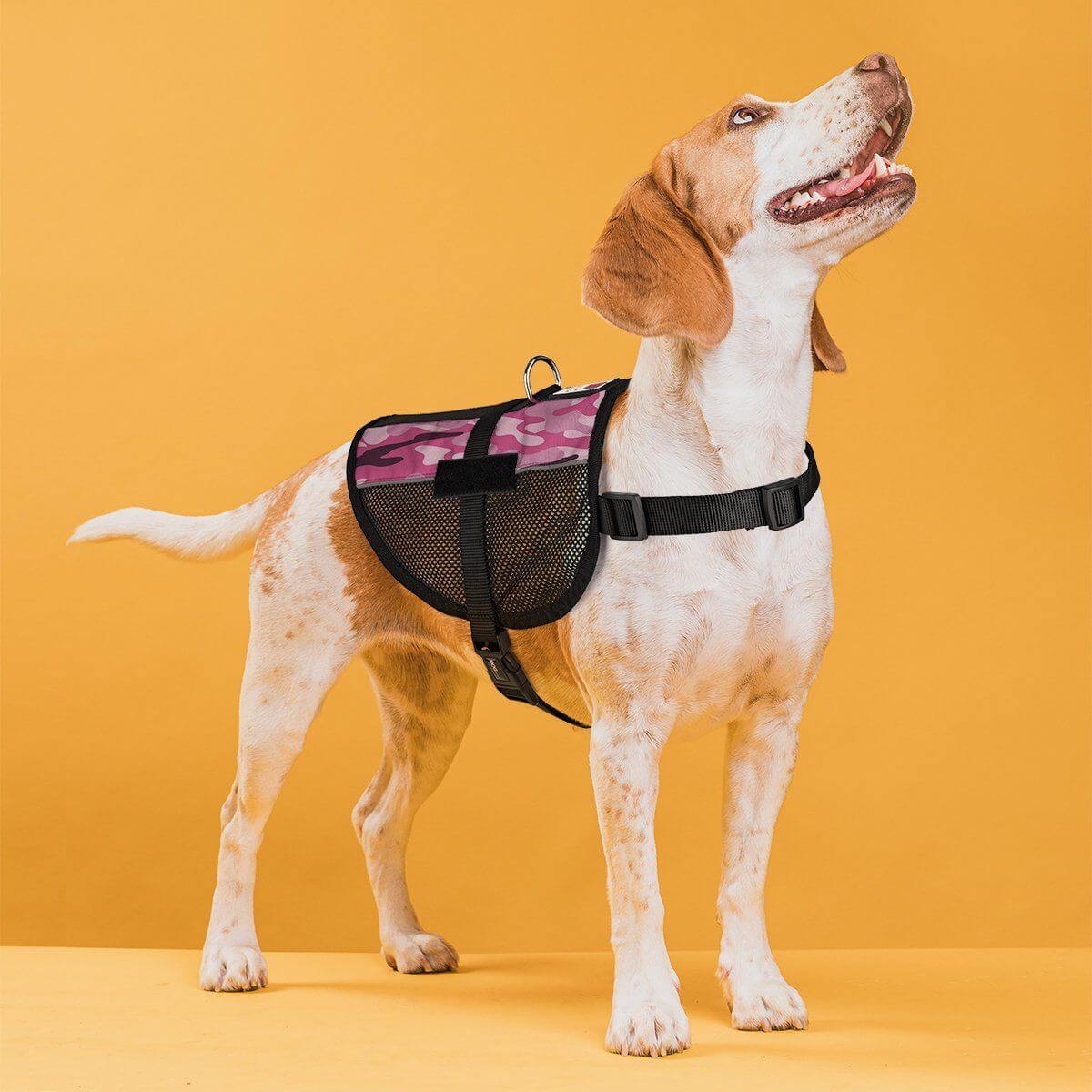 A dog with a yellow background Cooling mesh air vest for dogs to stay cool during outdoor activities