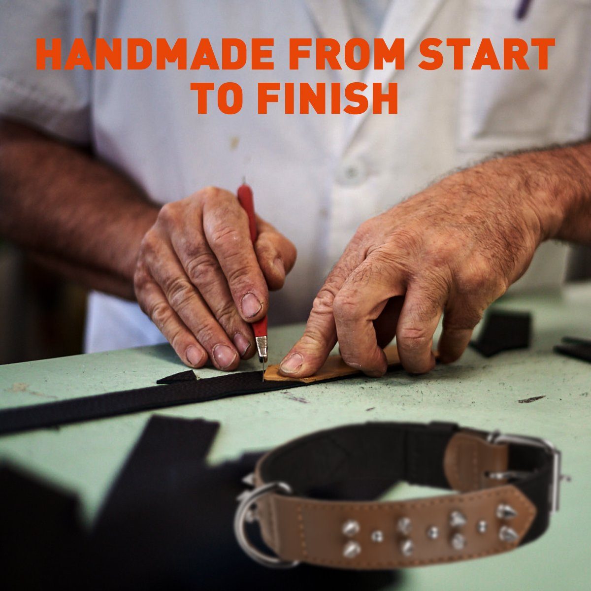 a dog wearing a Leather and nylon spike dog collar – durable, stylish protection collar with metal spikes for medium and large breeds