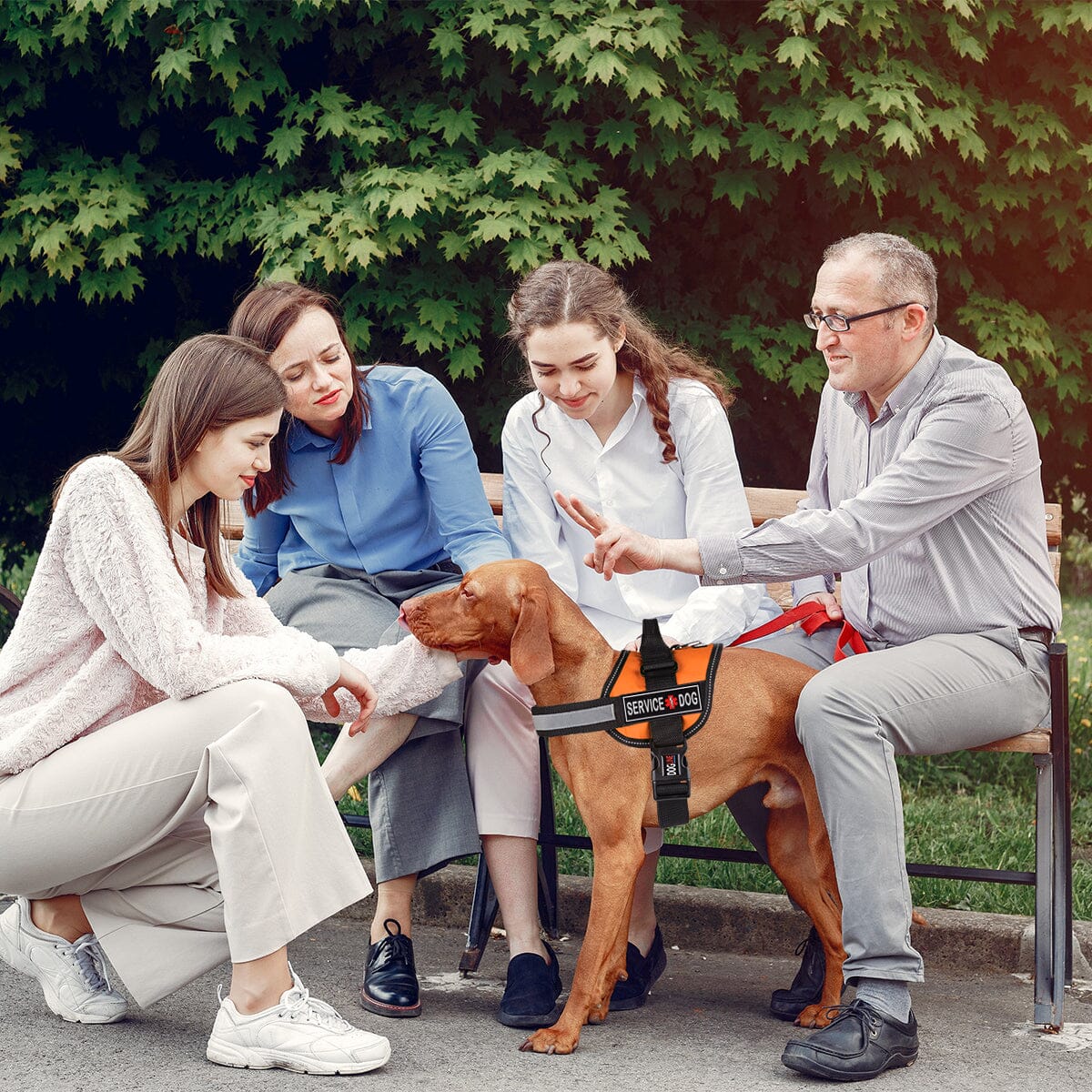 Dogline service dog 3D rubber patches – durable, high-quality patches for identification on service dog gear