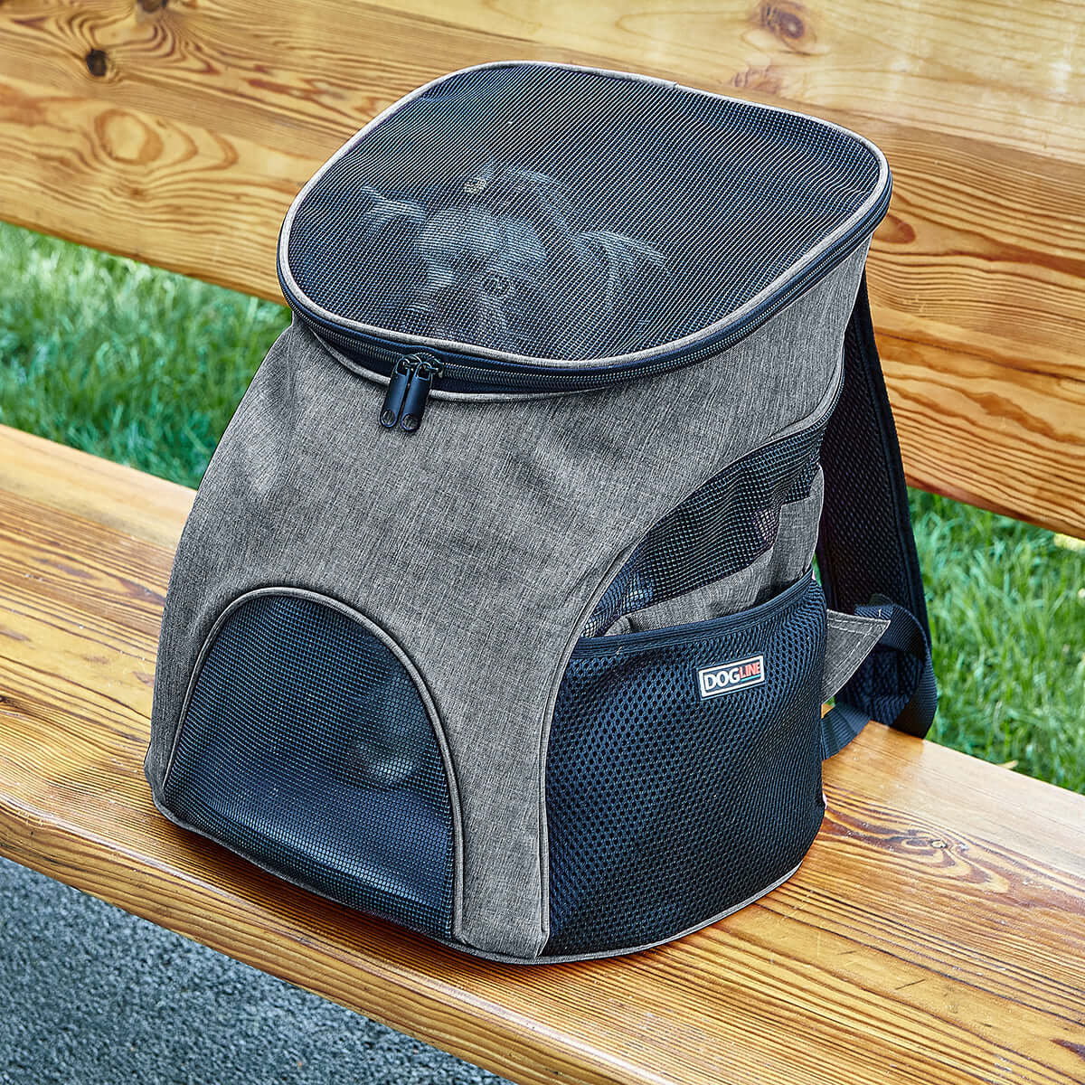 Pet carrier backpack with small dog inside, head sticking out for comfortable and hands-free travel