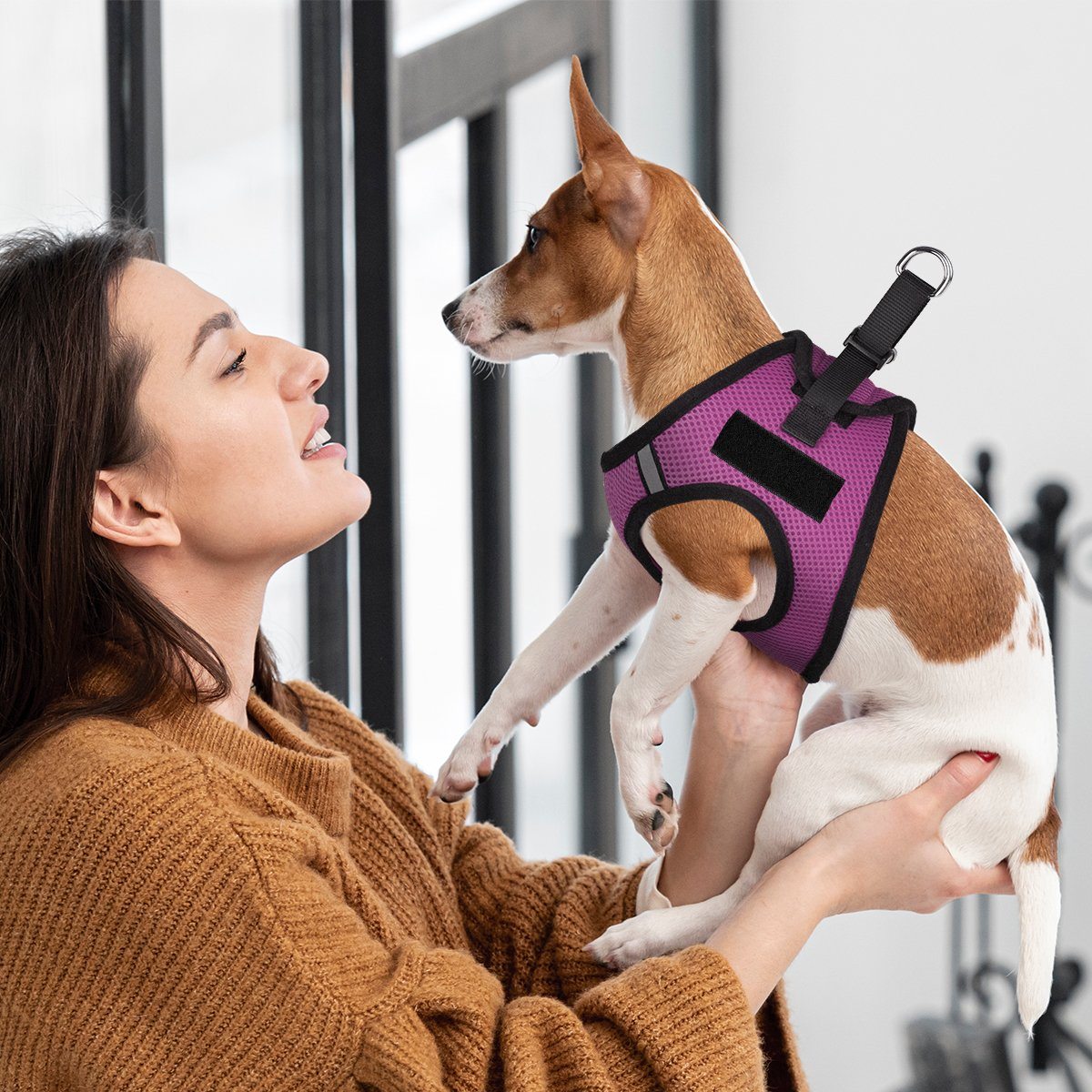 a dog wearing a York mesh dog harness with built-in hook and loop fasteners for easy adjustment and secure, breathable fit