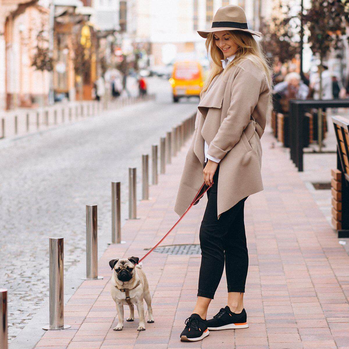 a dog being walked wearing a soft Soft leather round dog lead with comfortable grip and durable construction for everyday walking