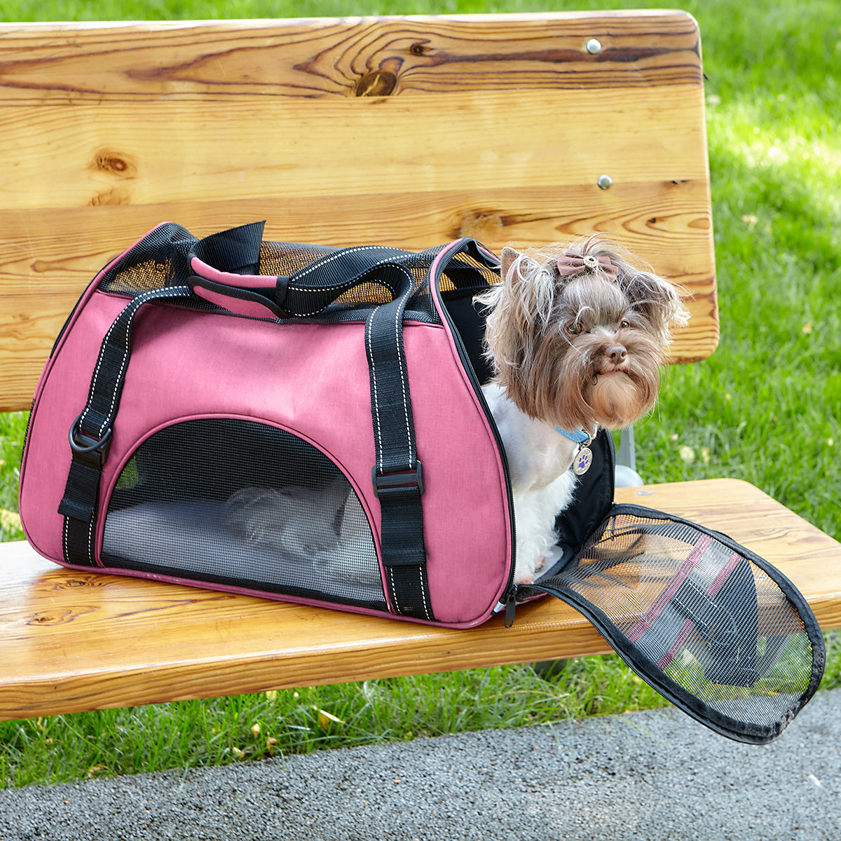 Airline-approved pet carrier backpack with small dog inside, head sticking out for safe, comfortable, and hands-free travel"