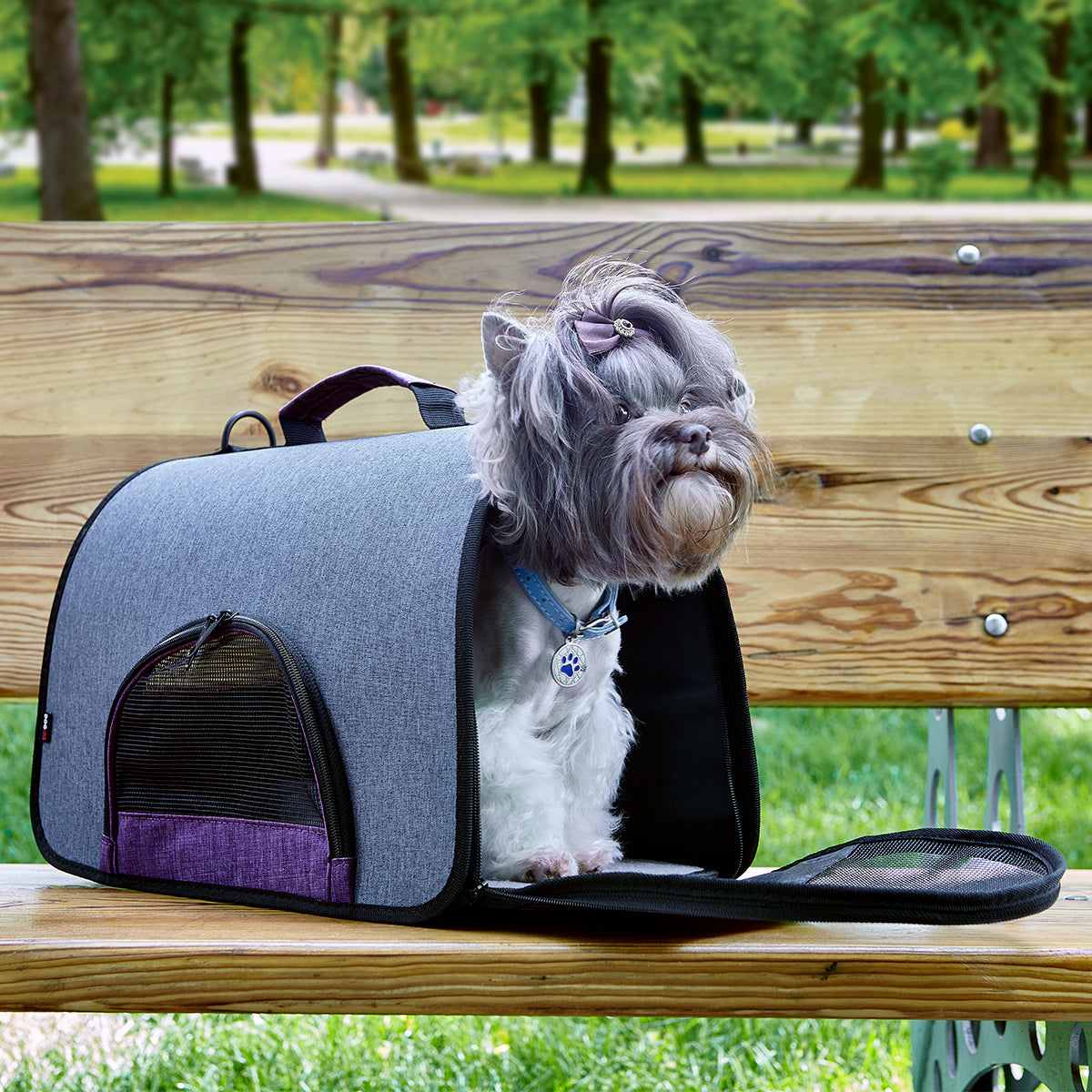 Dual color collapsible pet carrier – lightweight, portable, and easy-to-store carrier for small dogs and cats
