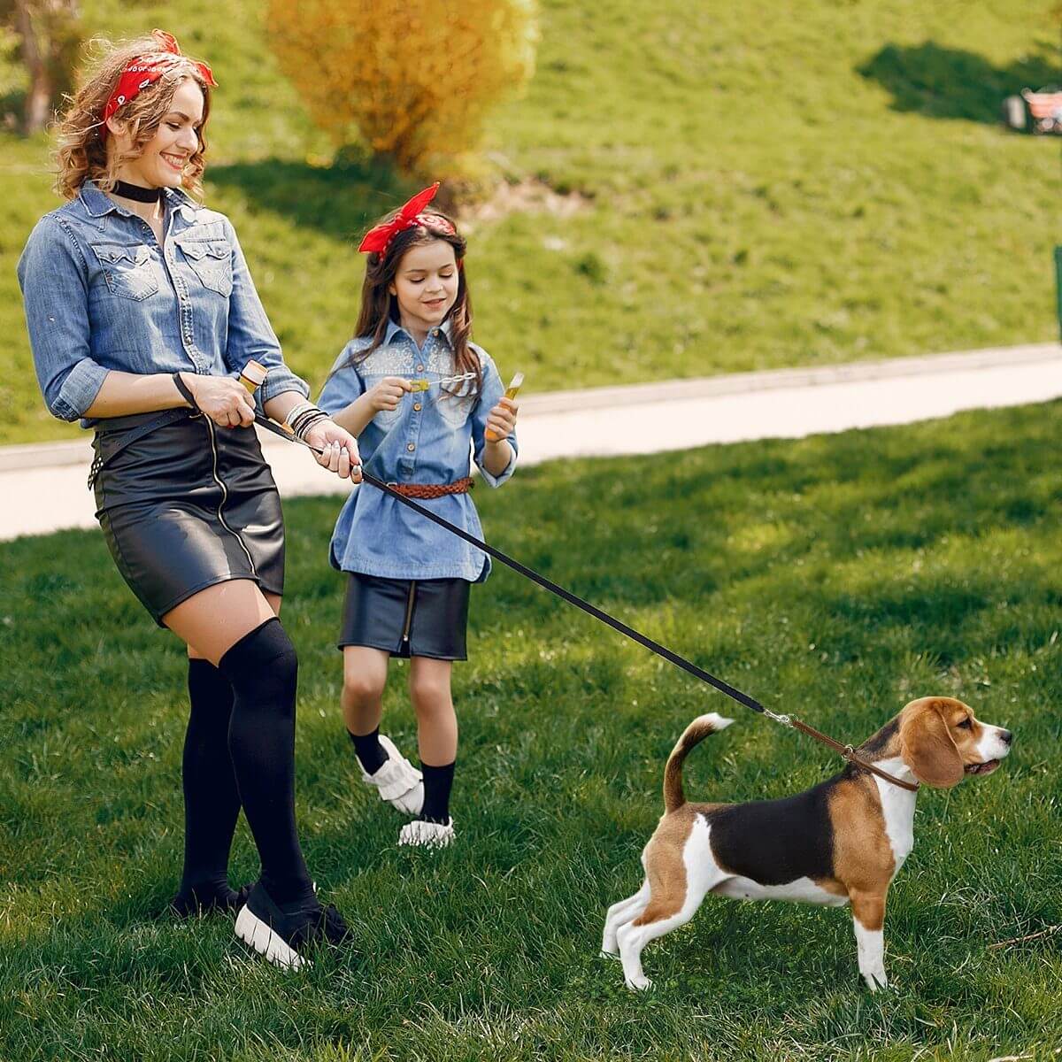 Soft leather round martingale collar for dogs, no-pull training collar with adjustable fit and gentle control