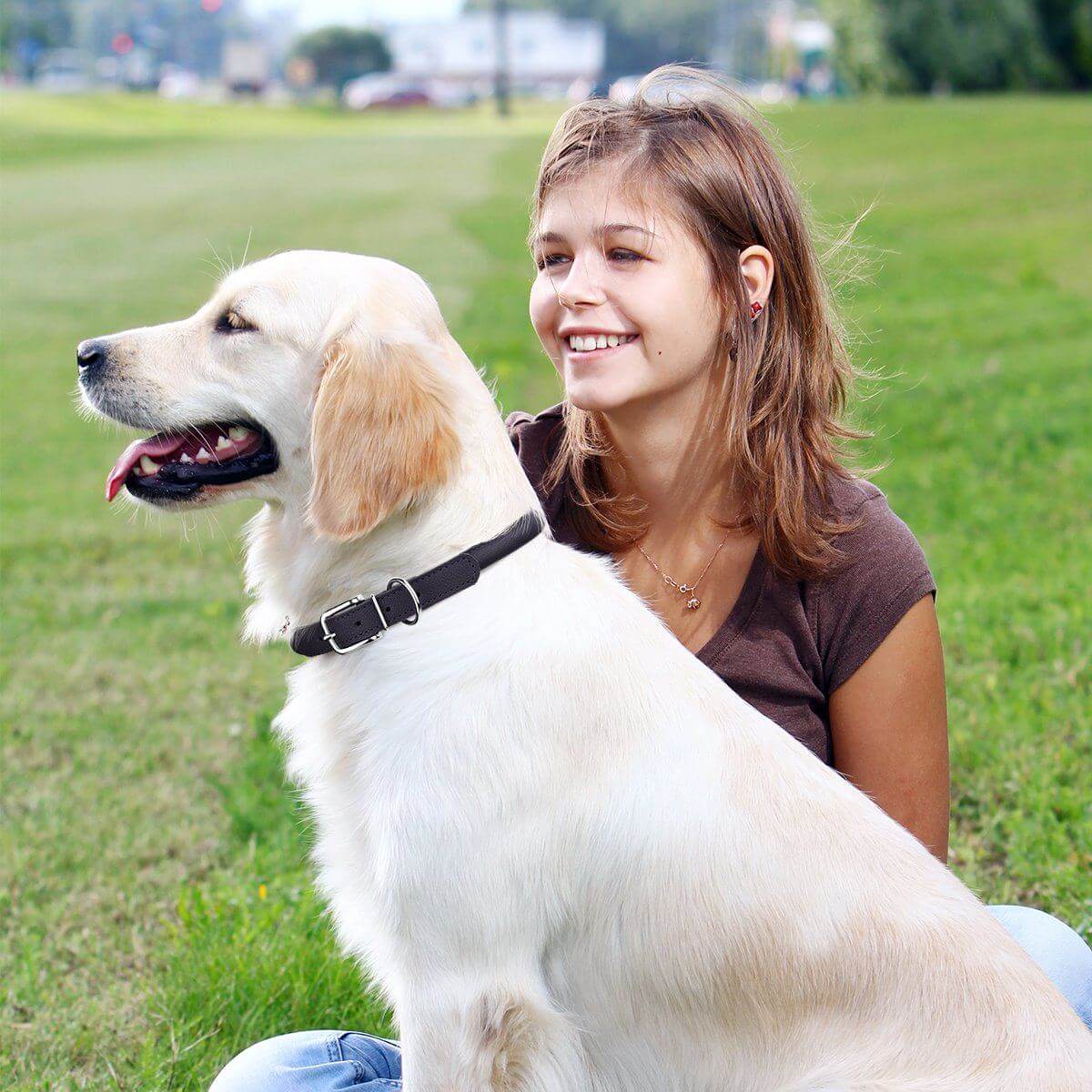 Dog wearing a white soft leather round collar sitting in the park with owner