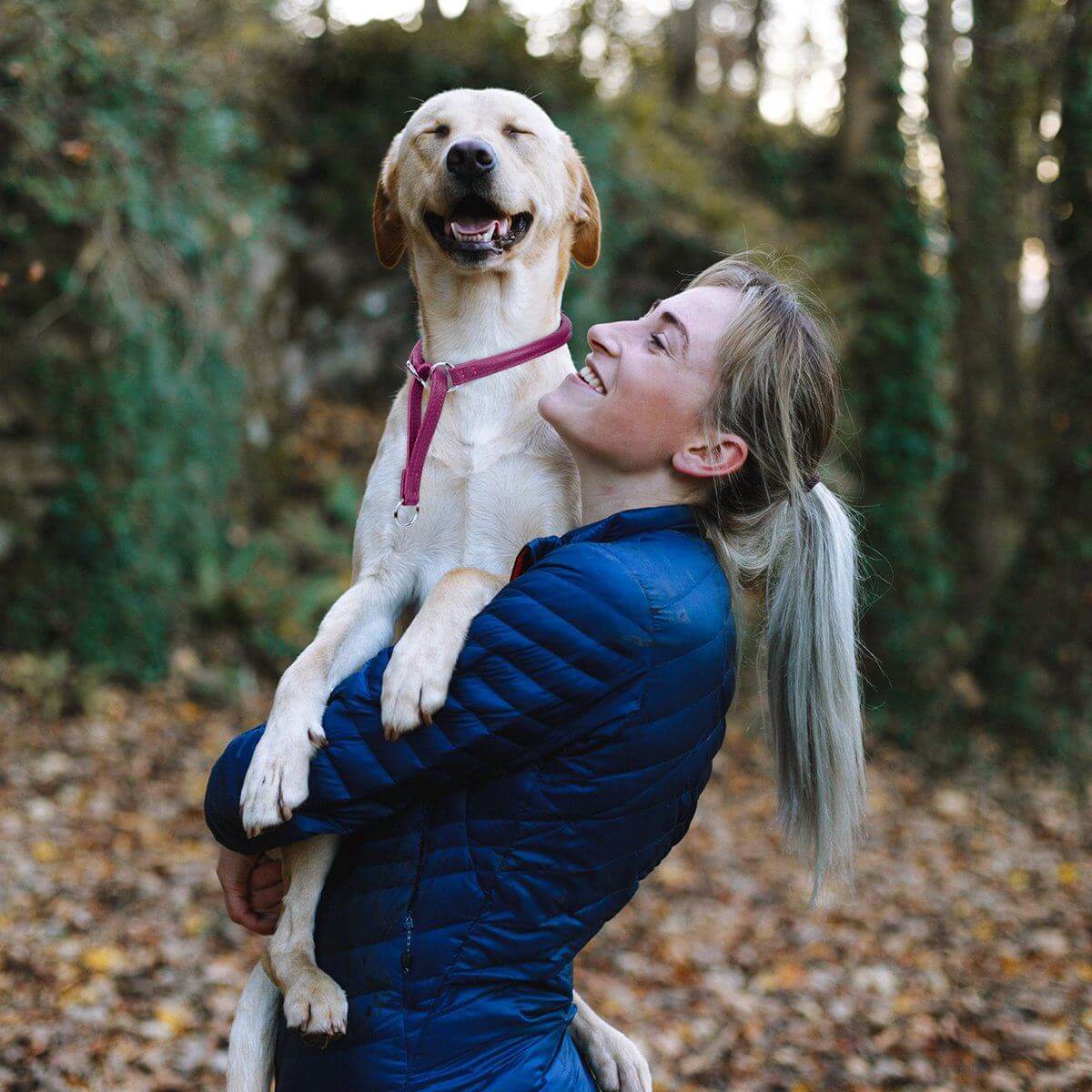 Soft leather round martingale collar for dogs, no-pull training collar with adjustable fit and gentle control