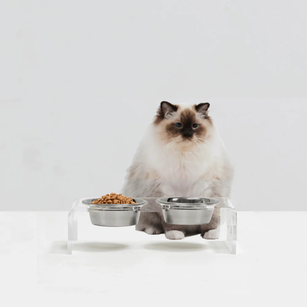 Hiddin Clear Acrylic Elevated Dog Feeder – Small Double Raised Dog Bowls with Stainless Steel Bowls