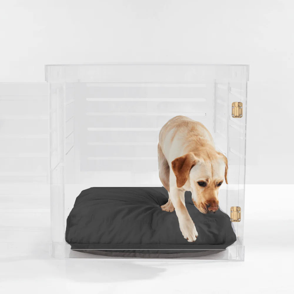 Clear Acrylic Dog Crate & Gate – Modern Lucite Dog Crate Furniture Side Table with Gold Latch