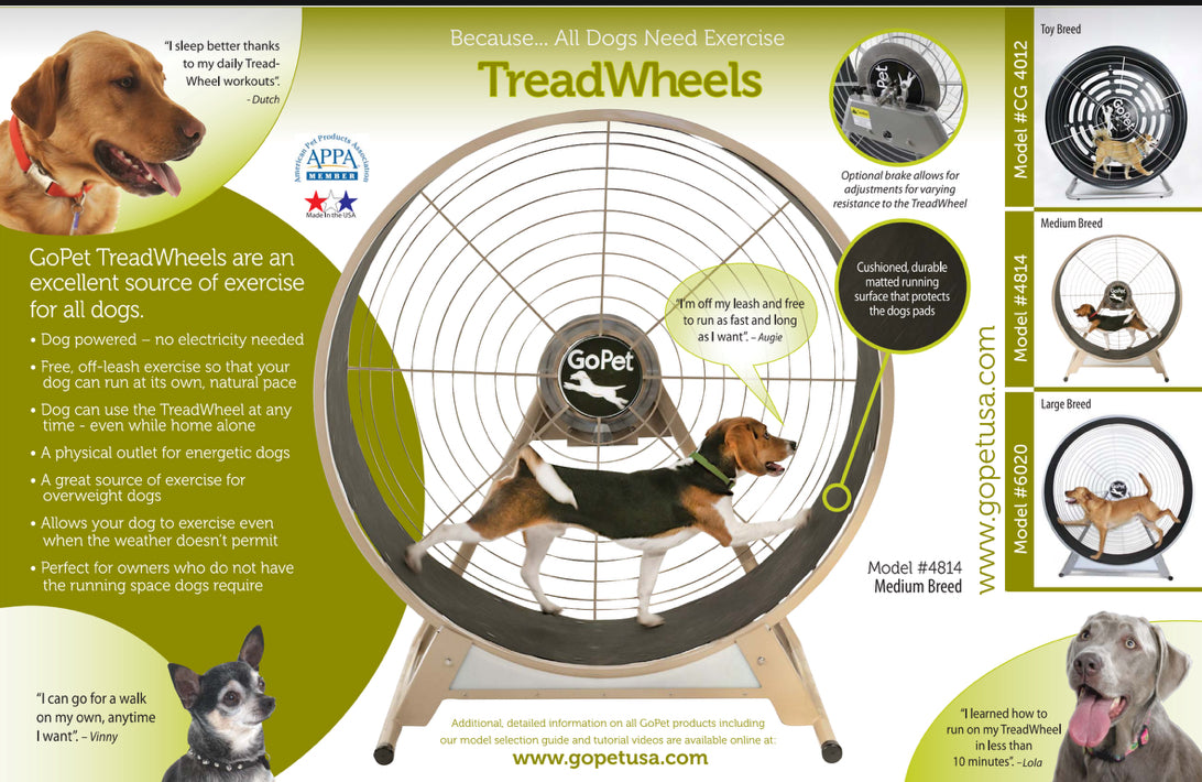 GoPet CG4012D Treadwheel For Small Dogs Or Cats Up to 25 Lbs