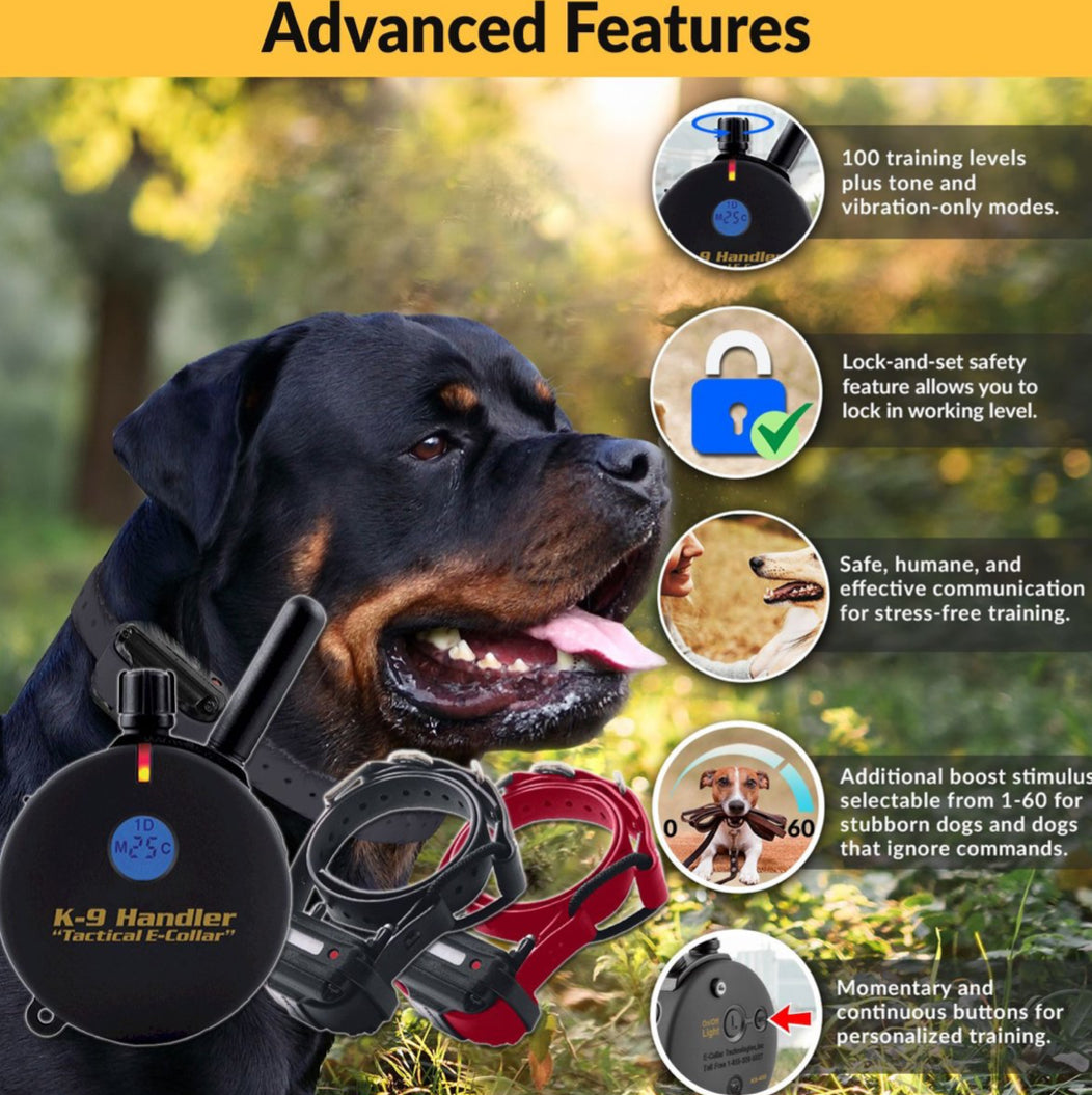 Educator K9-802 Handler E-Collar 1 Mile Big 2 Dog Remote Trainer