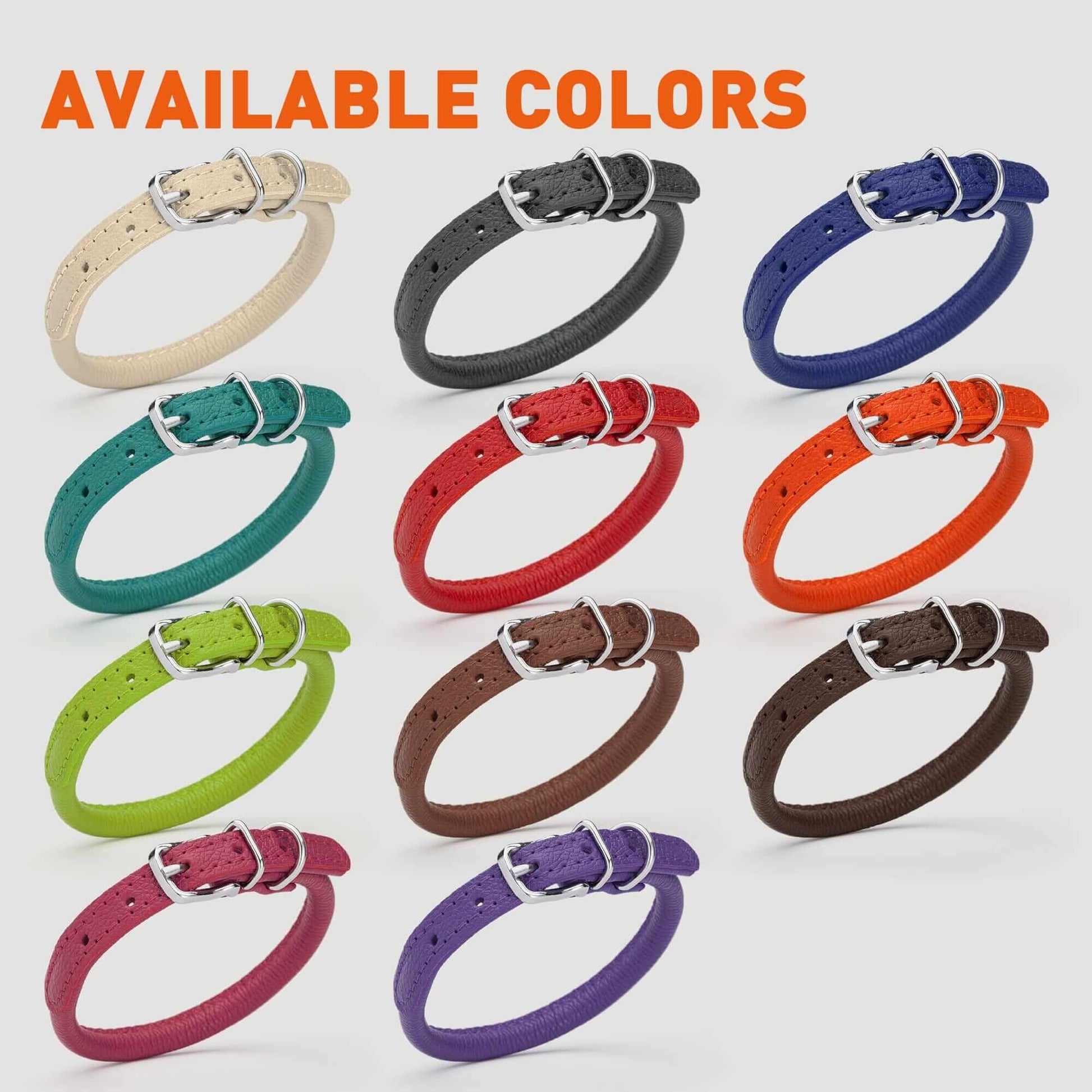 Dog wearing a white soft leather round collar sitting in the park with owner