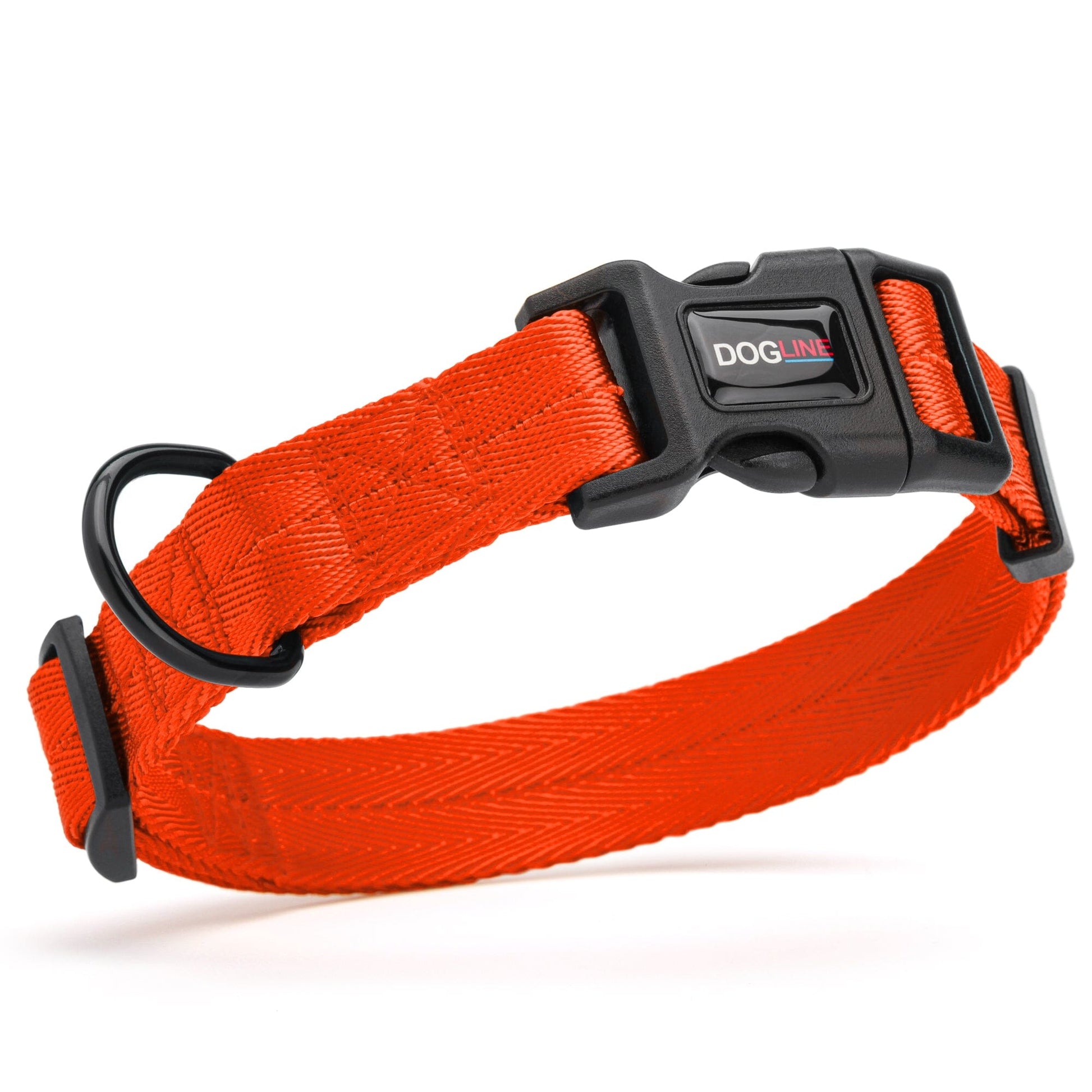 Nylon flat dog collar with adjustable buckle and durable hardware for everyday comfort and control
