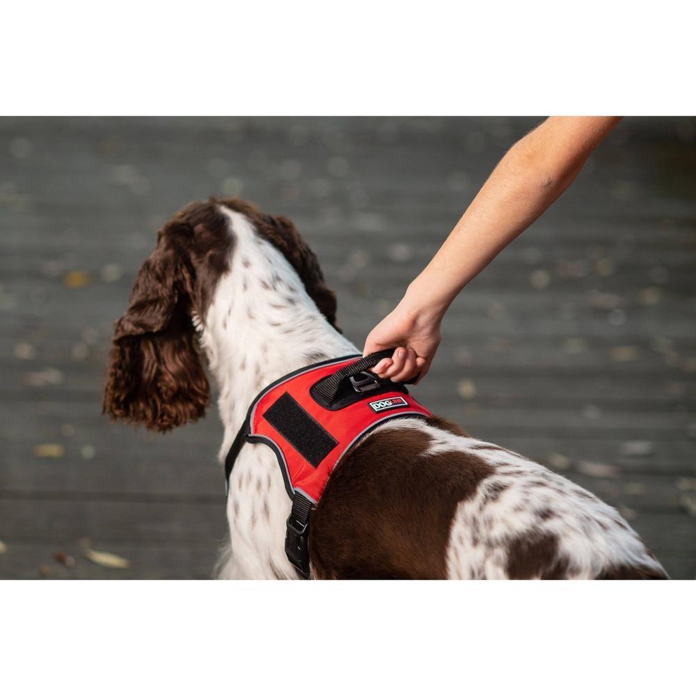 A dog wearing a Dogline Quest no-pull dog harness – multi-purpose, adjustable harness for training, walking, and control with front and back leash clips