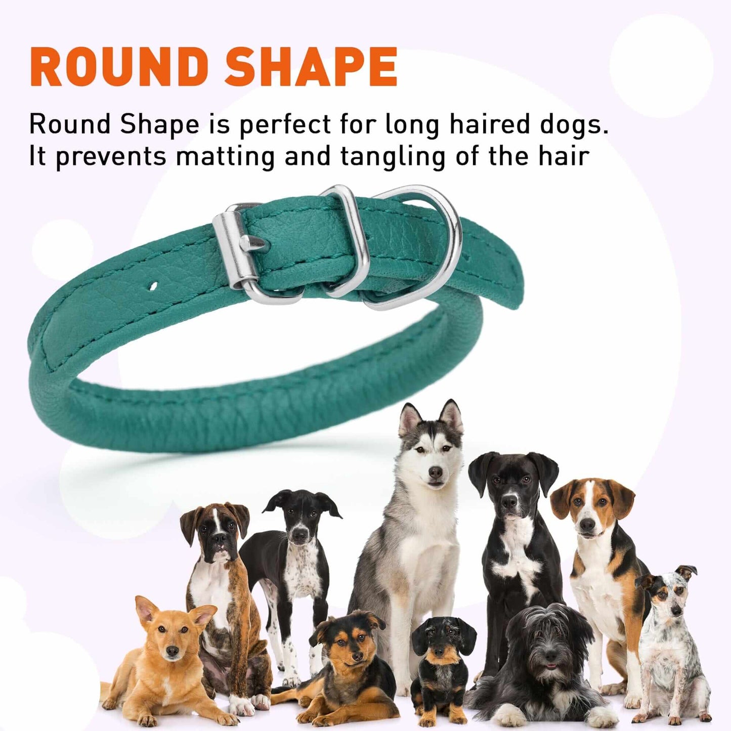 Dog wearing a white soft leather round collar sitting in the park with owner