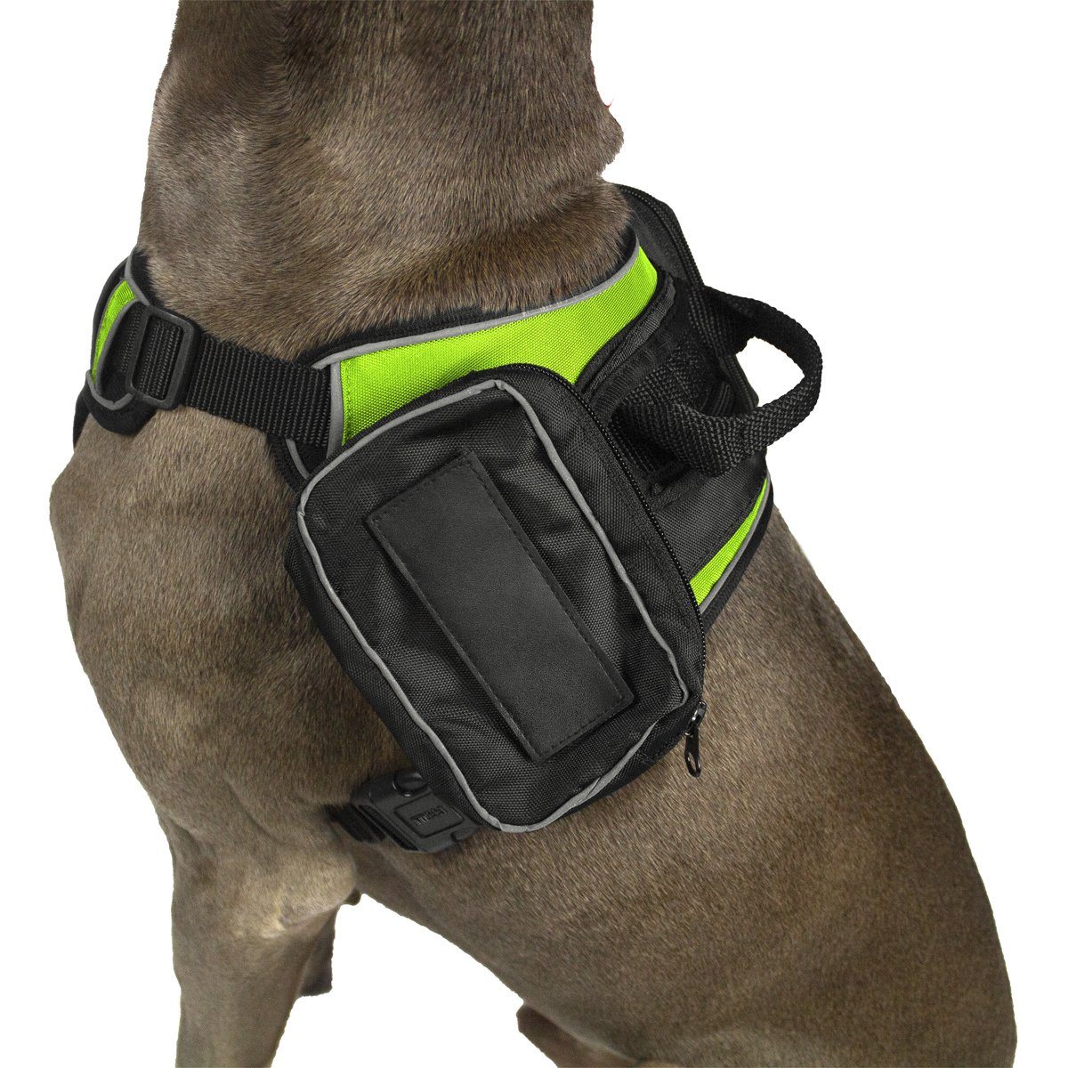 Quest removable utility saddlebags for dogs with built-in waste bag dispenser – durable, lightweight gear for hiking, walking, and travel