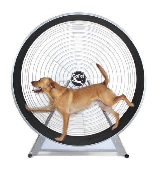 GoPet CS7620 Treadwheel Large Dogs Up To 150 Lbs