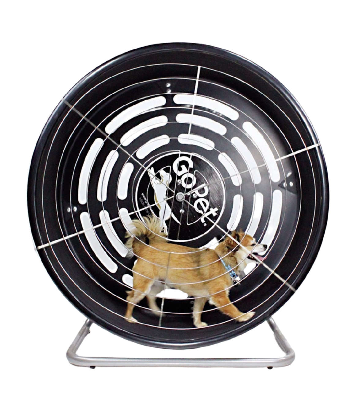 GoPet CG4012D Treadwheel For Small Dogs Or Cats Up to 25 Lbs