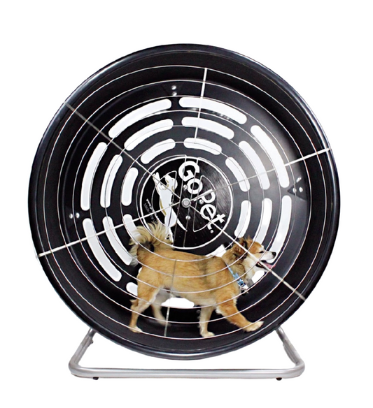 GoPet CG4012D Treadwheel For Small Dogs Or Cats Up to 25 Lbs