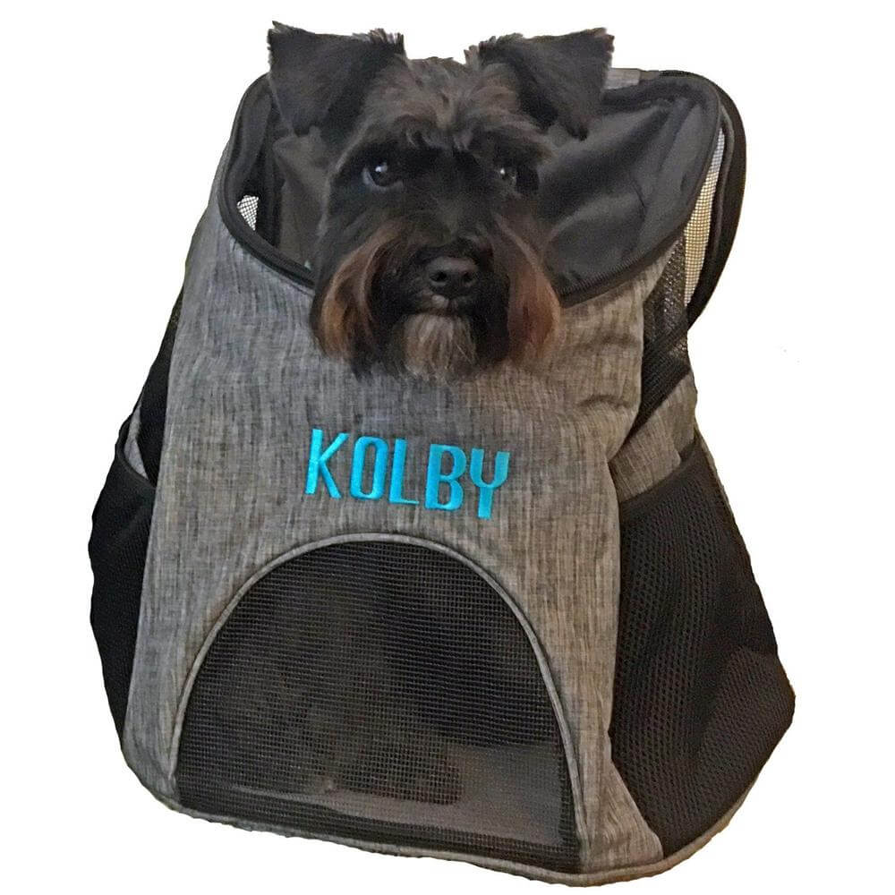 Pet carrier backpack with small dog inside, head sticking out for comfortable and hands-free travel