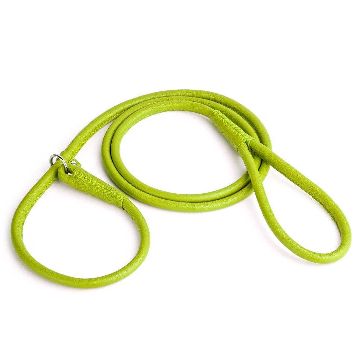Soft leather round slip lead for dogs, all-in-one leash and collar for easy handling and quick control during walks or training