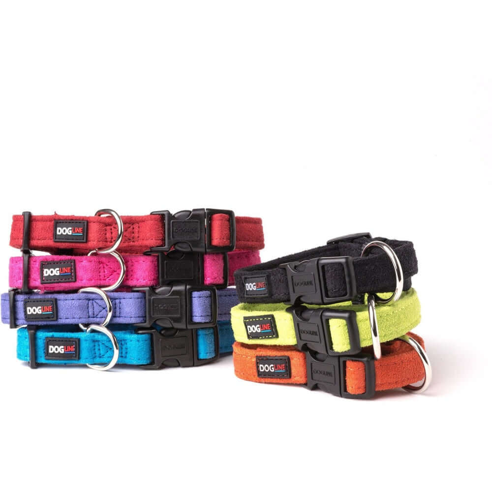 Comfort microfiber flat dog collar with soft padded lining and adjustable buckle for everyday wear