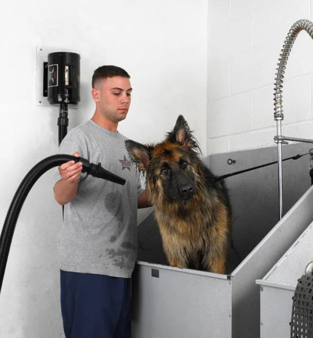 Man drying dog with Metrovac Air Force Blaster high-velocity pet and dog grooming dryer with powerful airflow for quick, heat-free drying.