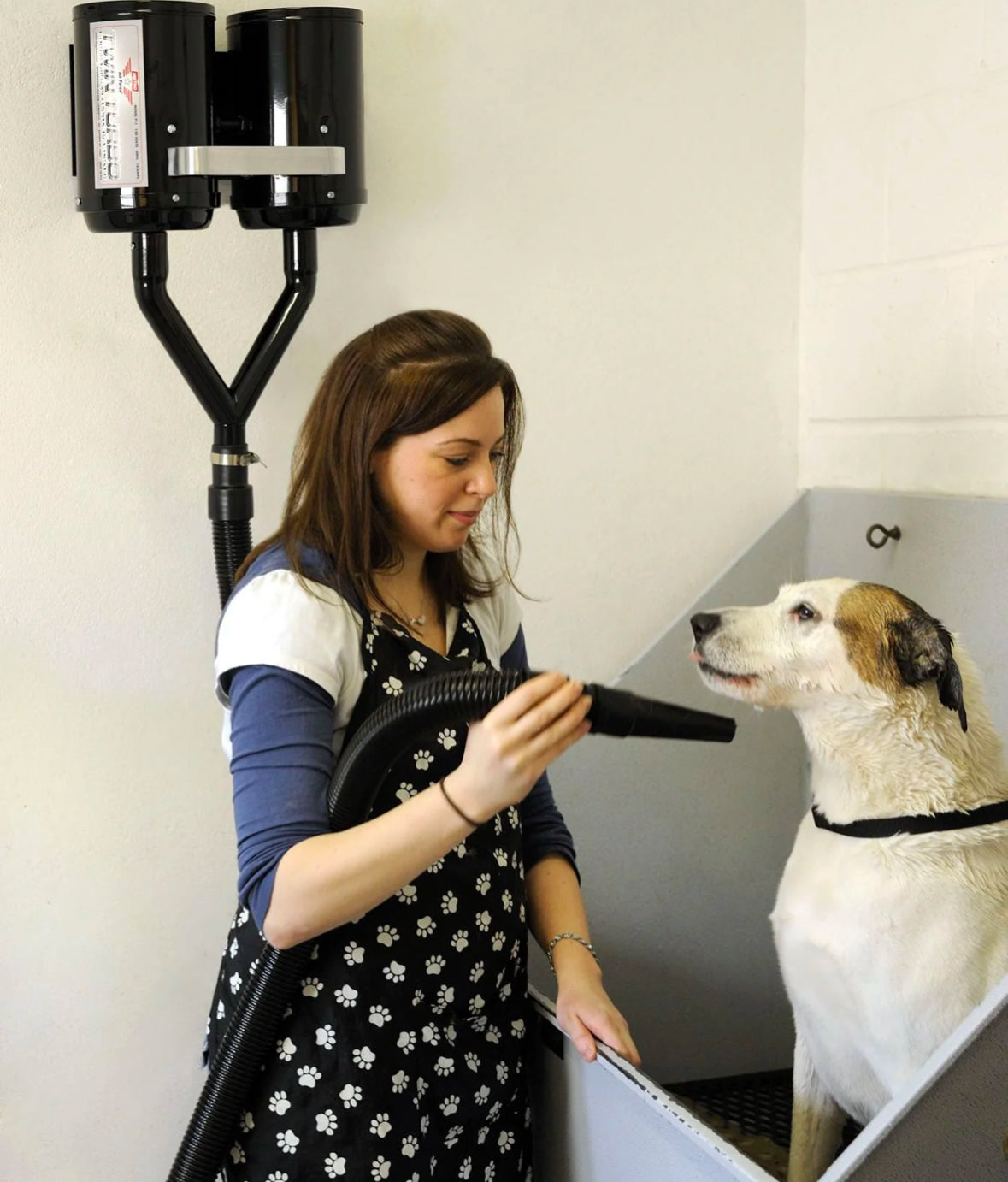 Dog Dryer lady drying dog with High-velocity wall-mounted pet dryer with dual 4.0 HP motors, 61,000 FPM airflow, and no heating element for safe, efficient drying.