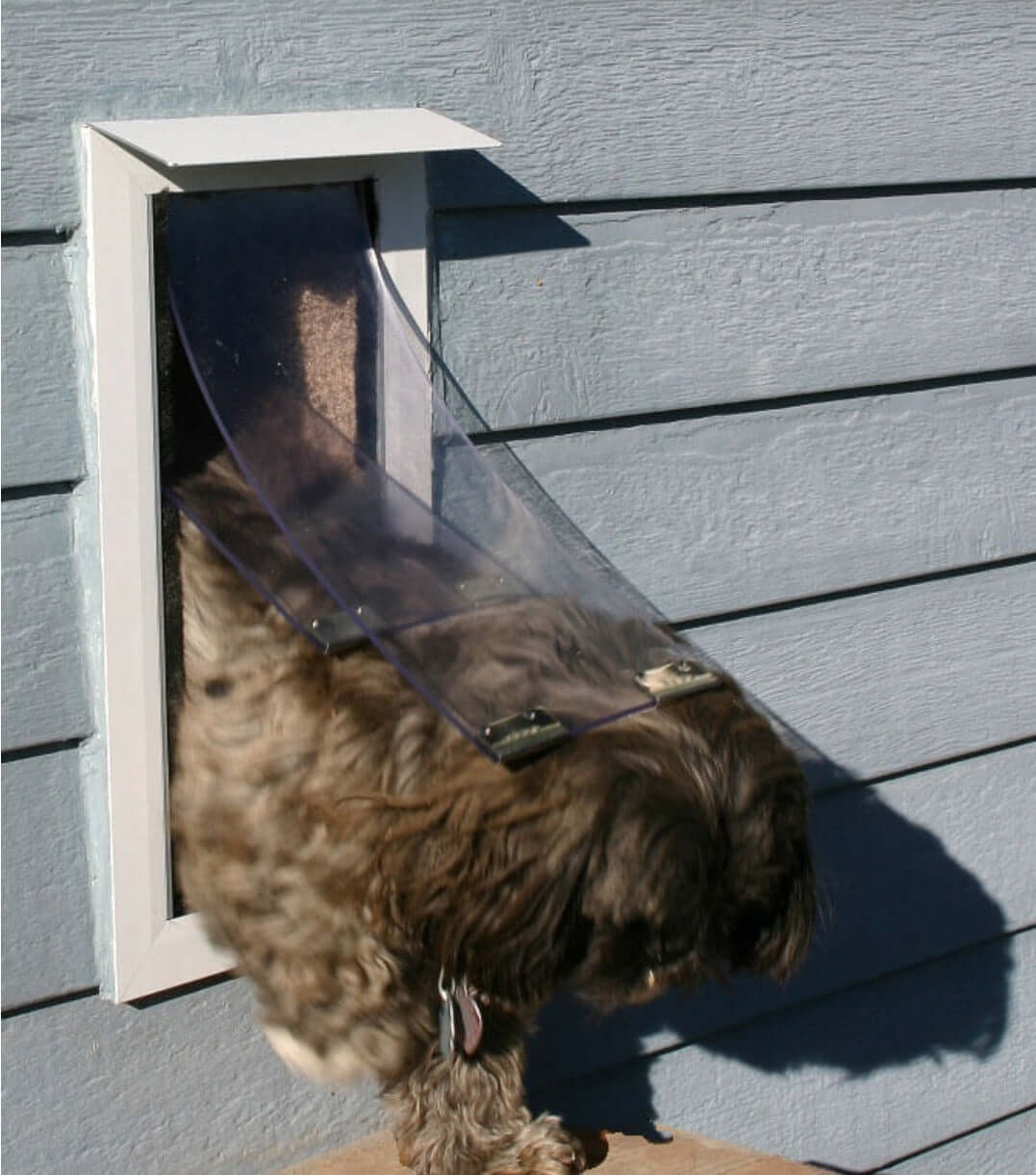 Pet door designed for walls, suitable for both dogs and cats, allowing easy access for pets while