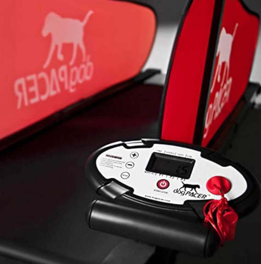 DogPACER MiniPacer Treadmill