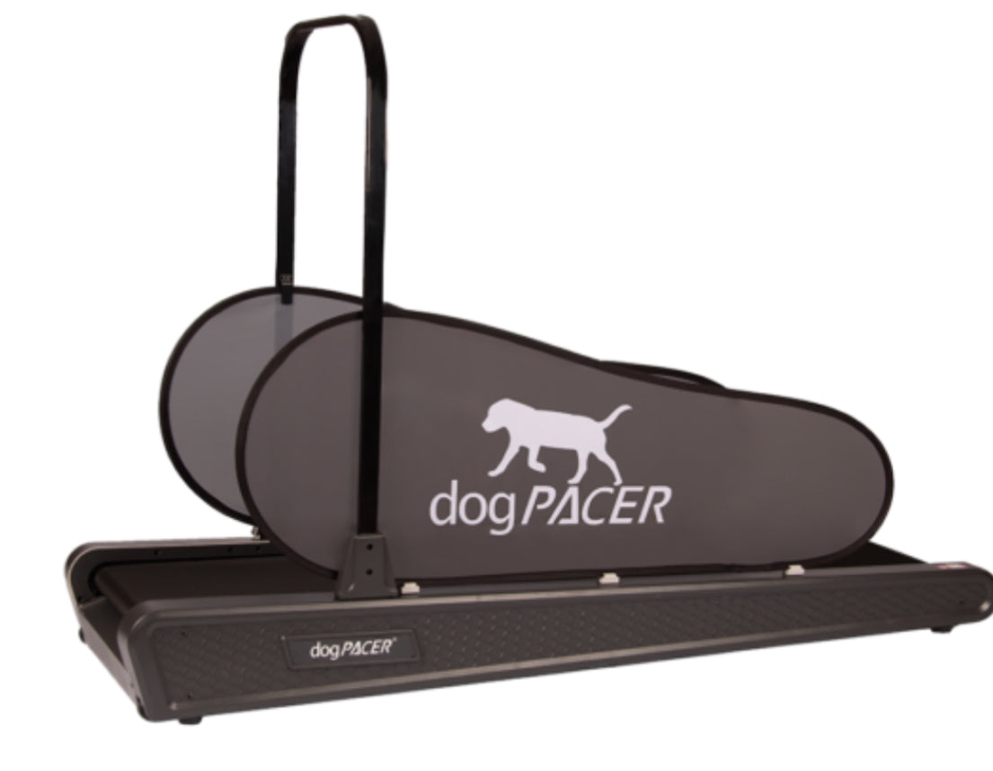 DogPacer SE Dog Treadmill