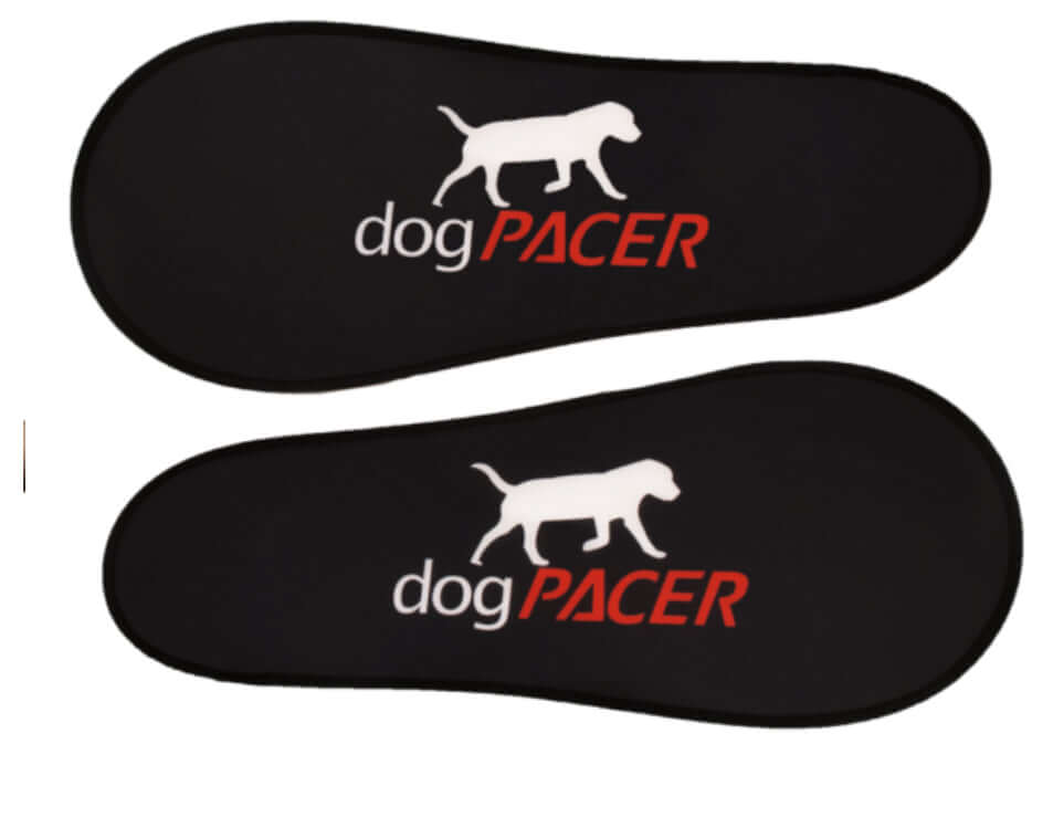 Dog Pacer 4.0 blue tooth Dog Treadmill replacement sides, best dog treadmill for small and large dogs