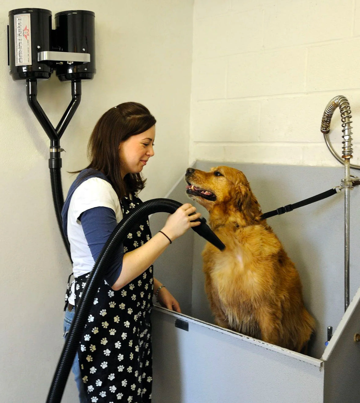 Dog Dryer lady drying dog with High-velocity wall-mounted pet dryer with dual 4.0 HP motors, 61,000 FPM airflow, and no heating element for safe, efficient drying.