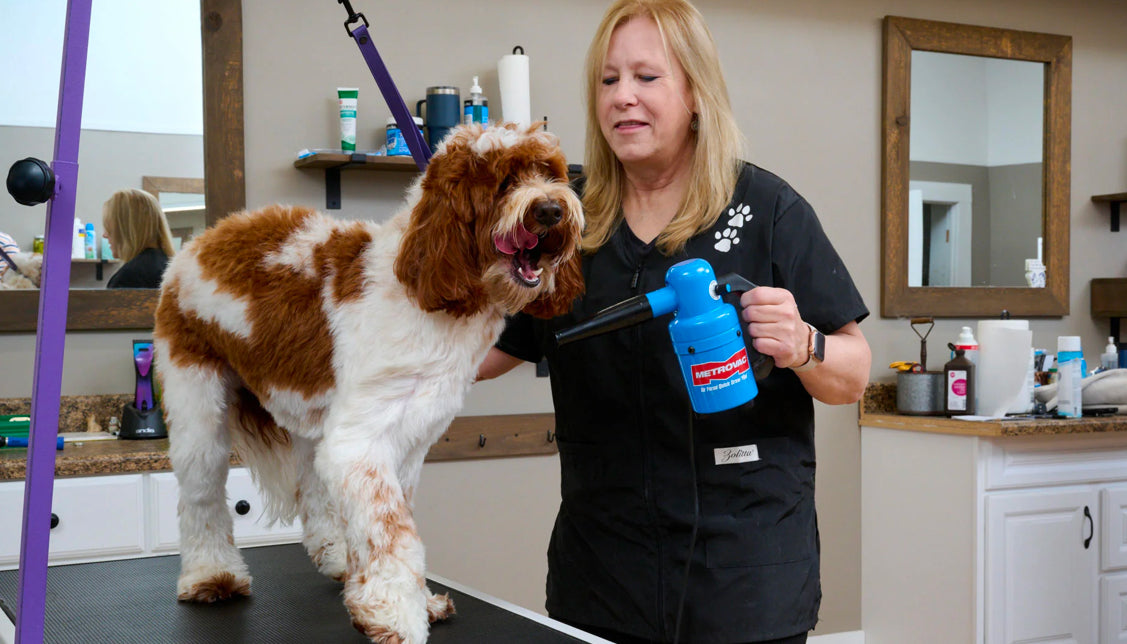 Metrovac Air Force Quick Drawn Mini Portable Pet & Dog Grooming Dryer with a picture of a dog being dried off with a dog blow dryer