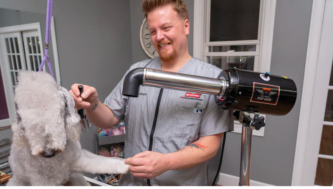 video showing how to use Metrovac Air Force Top Gun Variable Speed Pet & Dog Grooming Dryer Professional Pet Dryer with a dog being blow dried