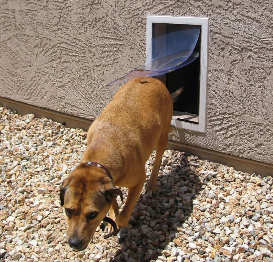 Pet door designed for walls, suitable for both dogs and cats, allowing easy access for pets while