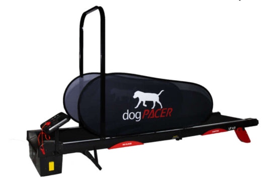Dog pacer 4.0 blue tooth is an indoor dog treadmill, canine treadmill, pet treadmill, dog exercise equipment, best dog treadmill for small and large dogs, motorized dog treadmill, foldable dog treadmill for home.