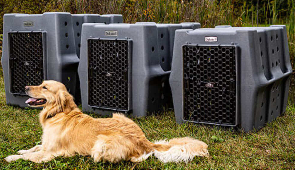 Dakota283 Canine Rough and Tough Economy Kennel Intermediate
