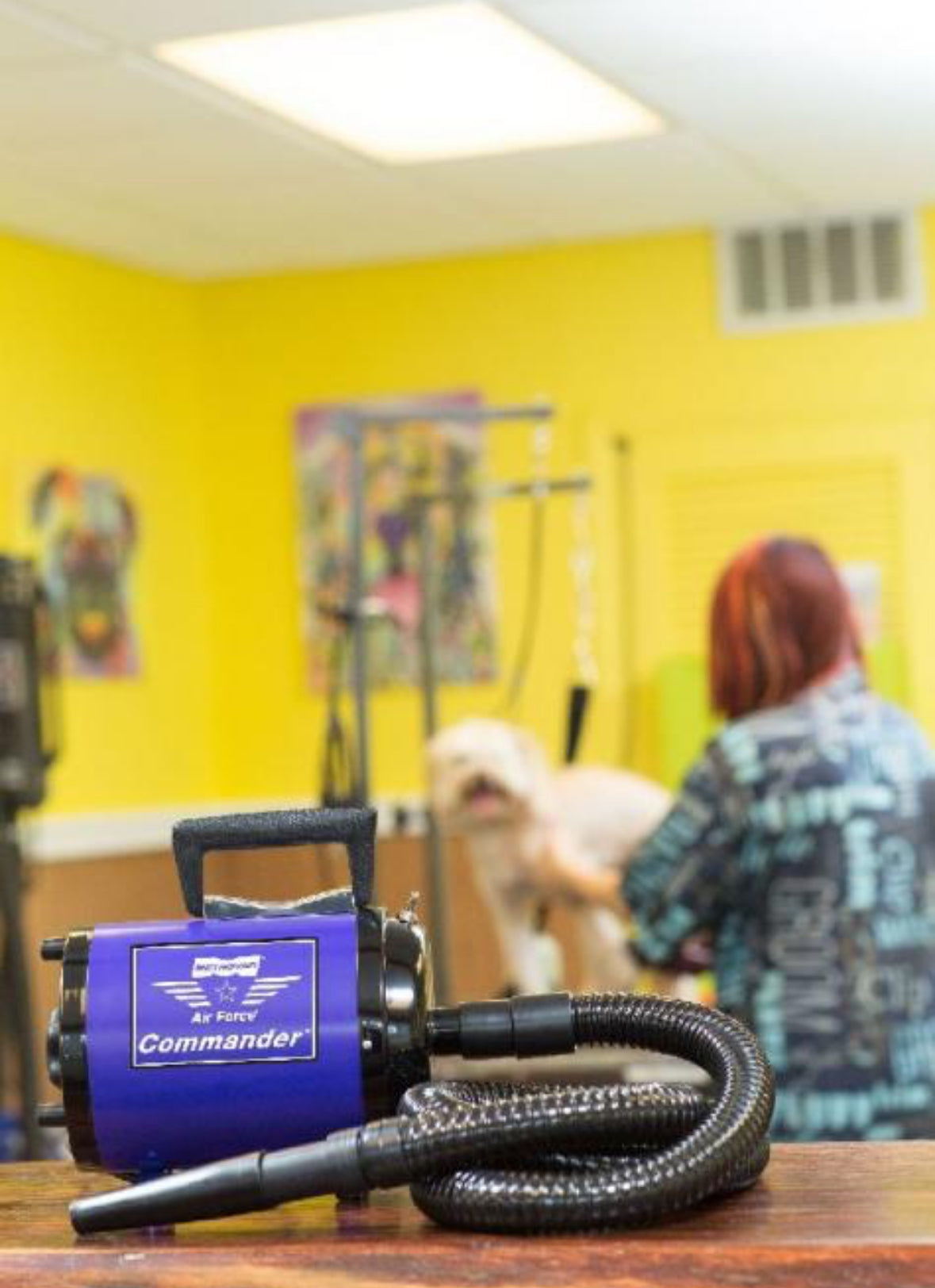 lady blow drying her dog with Metrovac Air Force Commander 2-speed pet dryer with 1.17 HP motor, 86 CFM airflow, and all-steel construction for efficient grooming.