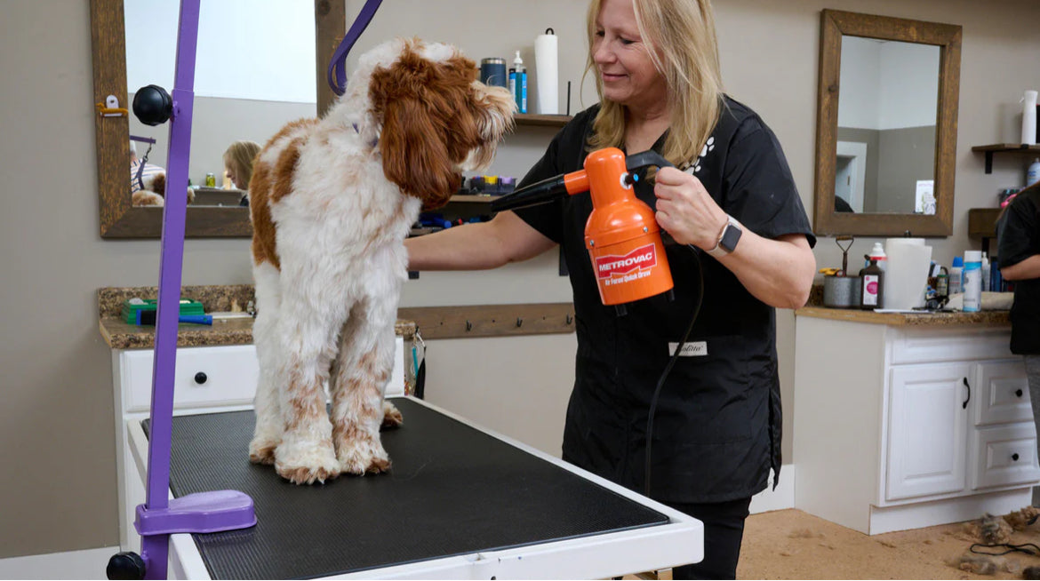 Metrovac Air Force Quick Draw Pet & Dog Grooming Dryer Professional Pet Dryer picture of a dog being dried off with dog blow dryer